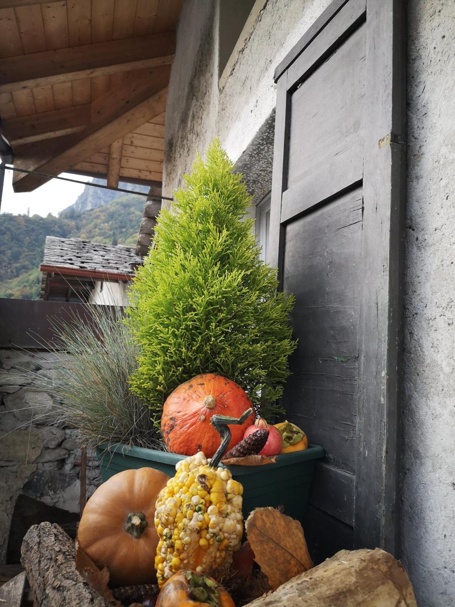 Apartament San Carlo Chiavenna Zewnętrze zdjęcie