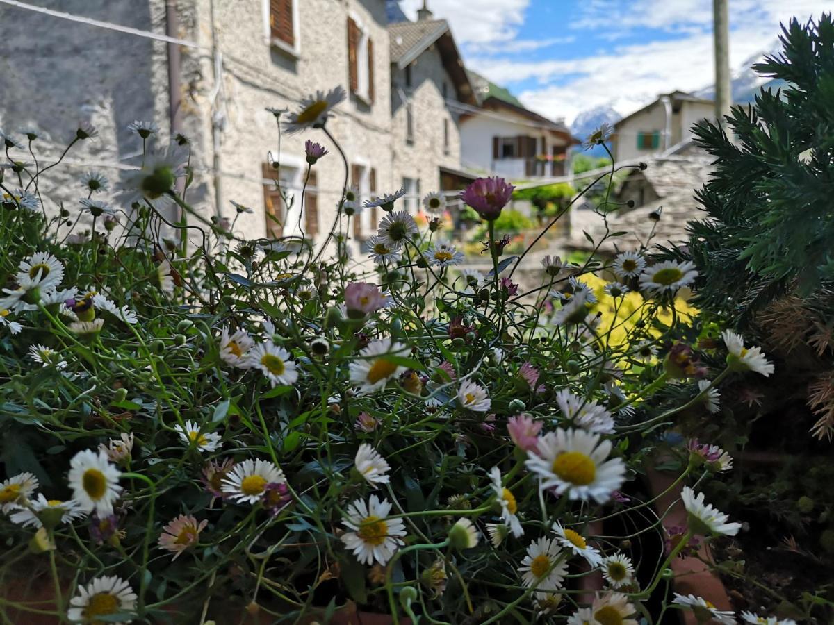 Apartament San Carlo Chiavenna Zewnętrze zdjęcie
